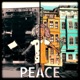 Peace is a Choice Single