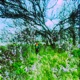 Весело Single