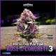 Rose Out The Concrete 3