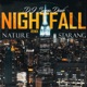 Nightfall Remix Single