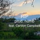 RIP feat numb CerVon Campbell Single
