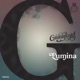 Lumina Single