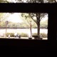 運命の中で Single