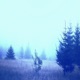 Elysium Single