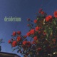 desiderium Single