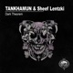 Dark Theorem Single