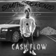 Cash Flow Single