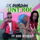 Control Like the Way You Go Low feat Koo Ntakra Single