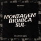 Montagem Biônica Sul Single