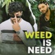 Weed Is Need Single