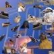Réveille Vol 3 EP