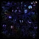 Looney Choon EP