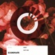 Dusty Rose Single