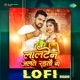 Lalten Jalte Rahtau Ge Lofi Single