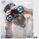 Obsesionao Single