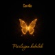 Parlaýan Kebelek Single