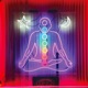 The Chakras