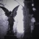 desolate Single