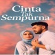 Cinta Tak Sempurna Single