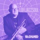 Lofijazzsoul Slowed