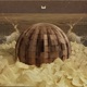 Dust Digger Descendants of Filth Single