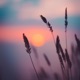 Nature Vol 2 EP