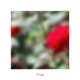 Finale Single