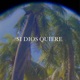 SI DIOS QUIERE