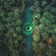 Green Juice John the Dropout Remix Single