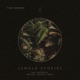 Jungle Stories AmuAmu Remix Single