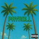 Payroll Single