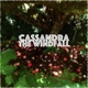 The Windfall Single