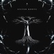 Silver Roots Single