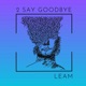 2 SAY GOODBYE Single