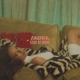 Stay at Home Single