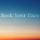 Seek Your Face Single