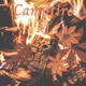 Campfire Single