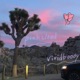 Pinkcloud Single