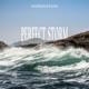 Perfect Storm Single