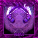 Chasing the Night Single