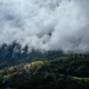 Virga Single