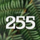 255 feat Belle 9 Single
