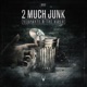 2 Much Junk Single