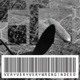 The Fly EP