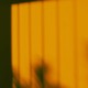 Go With The Flow Single
