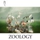 ZOOLOGY