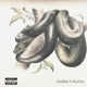 Snakes feat Isaiah Jordan Lex Lyric Single