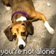You re Not Alone Single