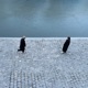 Le nom s est perdu La Seine m a trouve e Single