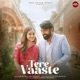 Tere Vaaste Single